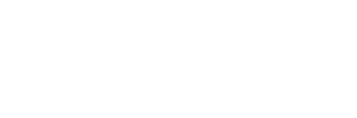 Split Wise Logo